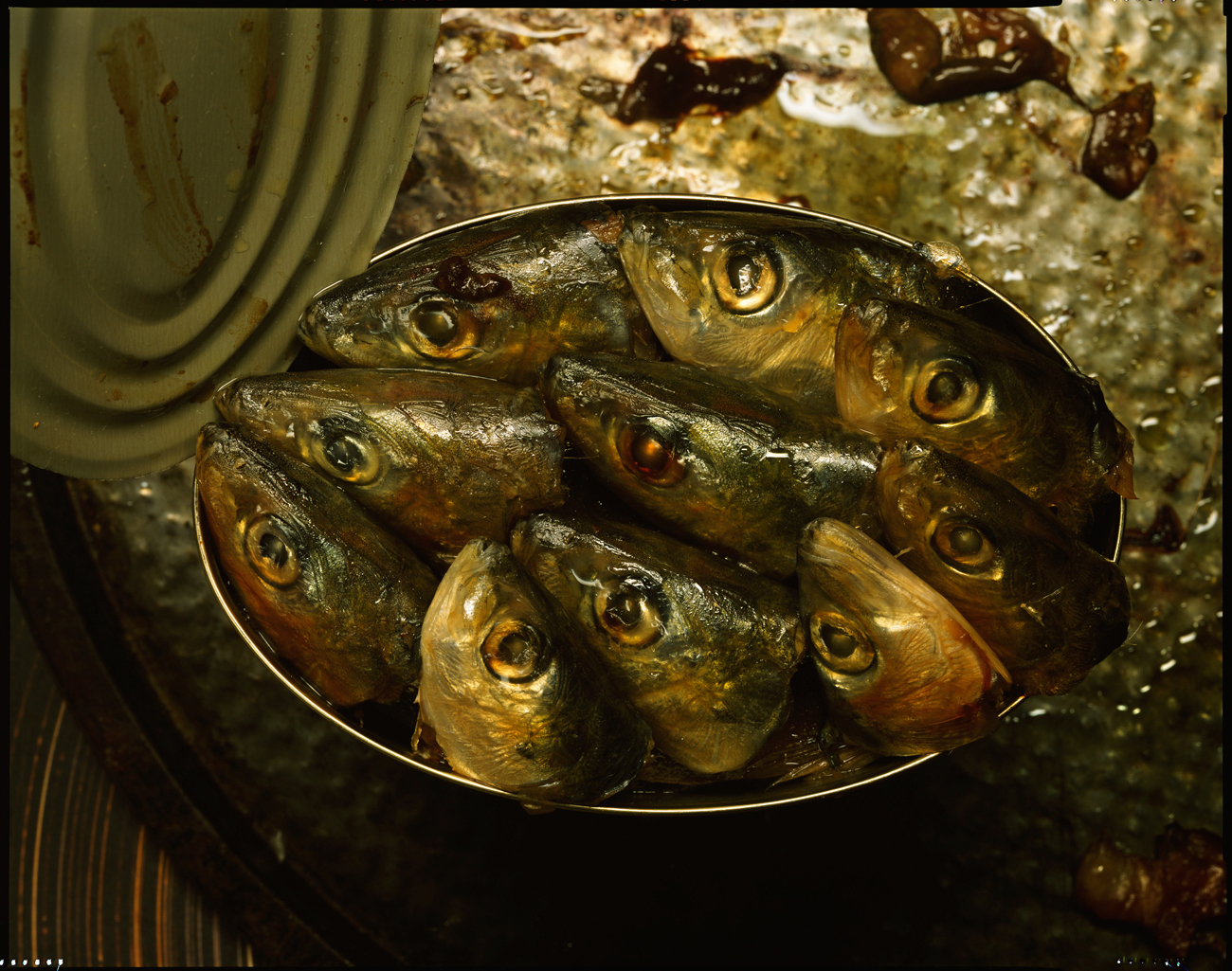 Fish heads, Chinatown, New York City, 2017