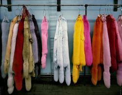 Furrier showroom, West 32nd Street, New York City, 2005